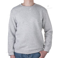 Світшот для друку унісекс тринитка з начісом 300 г/м², сірий, XXXL (9017) - фото 1 Світшот для друку унісекс тринитка з начісом 300 г/м², сірий, XXXL (9017) - фото 1 - Заготовки для сублімації