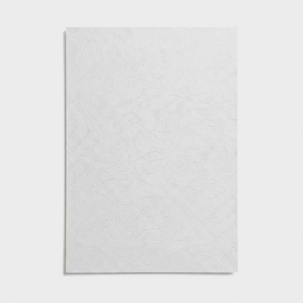 Обкладинка картонна для брошурування А4, тиснення шкіра, 230 г/м², біла, 100 аркушів (12799) - фото 1 Обкладинка картонна для брошурування А4, тиснення шкіра, 230 г/м², біла, 100 аркушів (12799) - фото 1 - Поліграфічне обладнання і матеріали